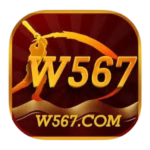 W567 Game