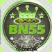 bn55gamepk.